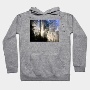 Shafts of sunlight Hoodie